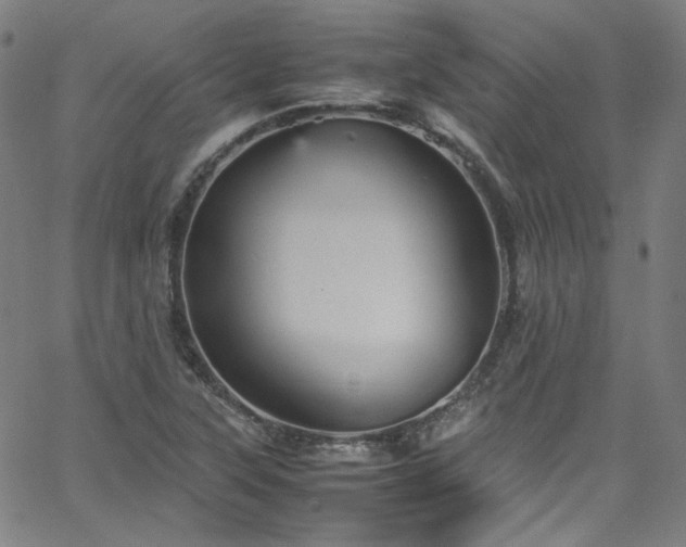 X0000065981315200603101412