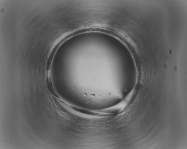 X0000065981316200603101412