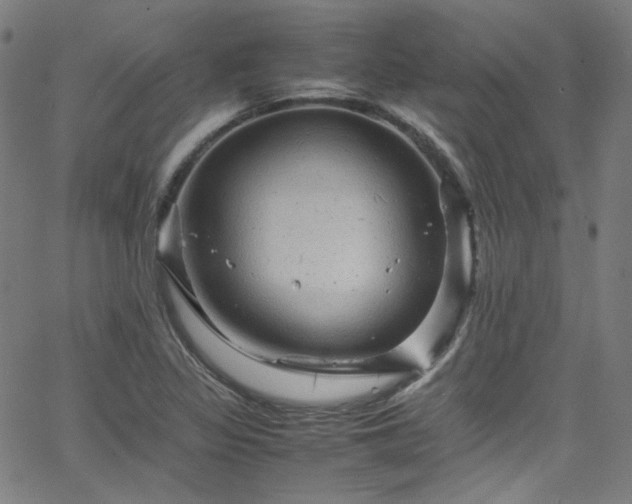 X0000065981317200603101412