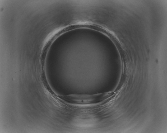 X0000065981319200603101412