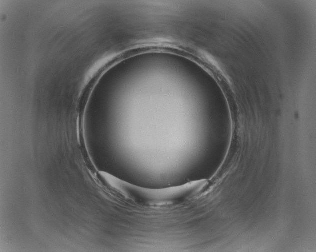 X0000065981320200603101412