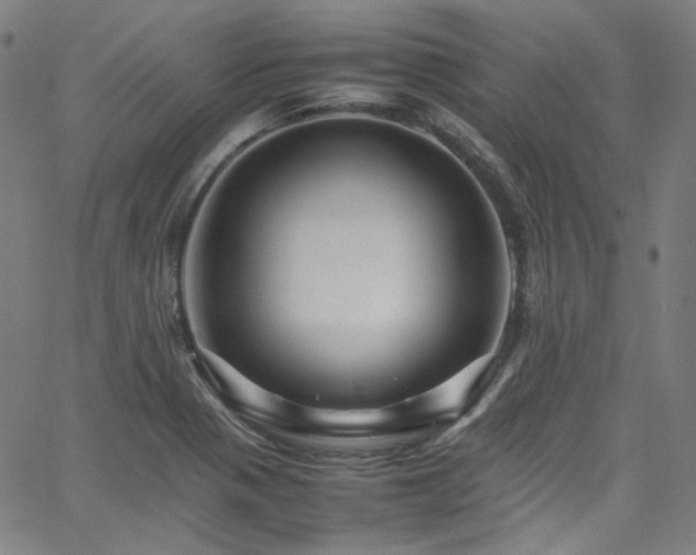 X0000065981321200603101412