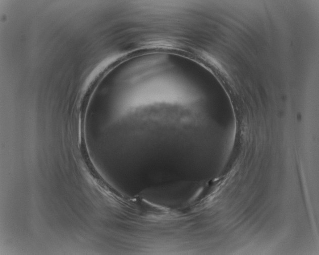 X0000065981323200603101412