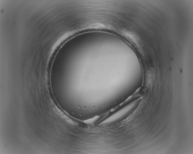 X0000065981326200603101412