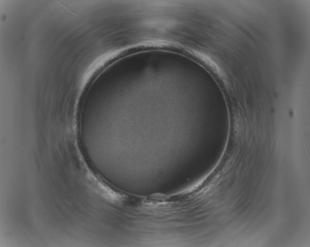 X0000065981327200603101412