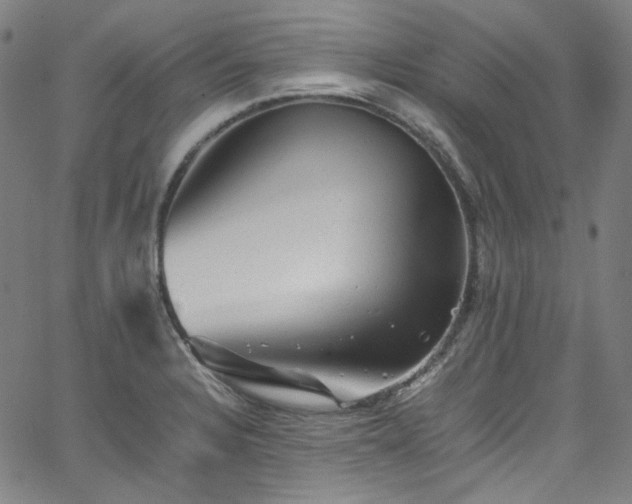 X0000065981328200603101412