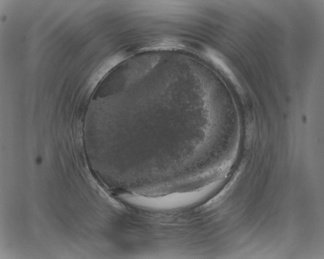 X0000065981329200603101412