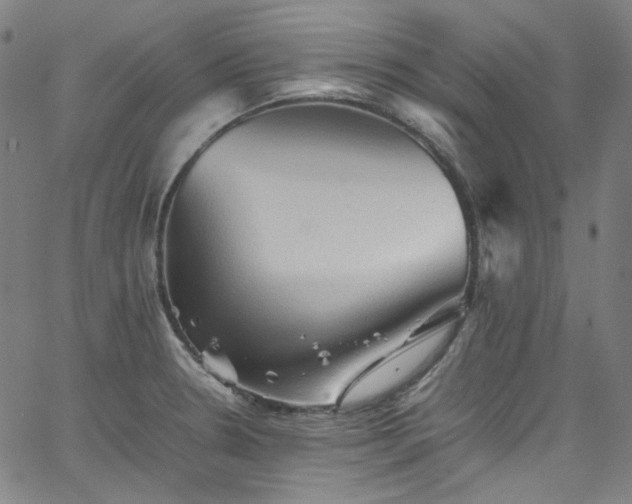 X0000065981330200603101412