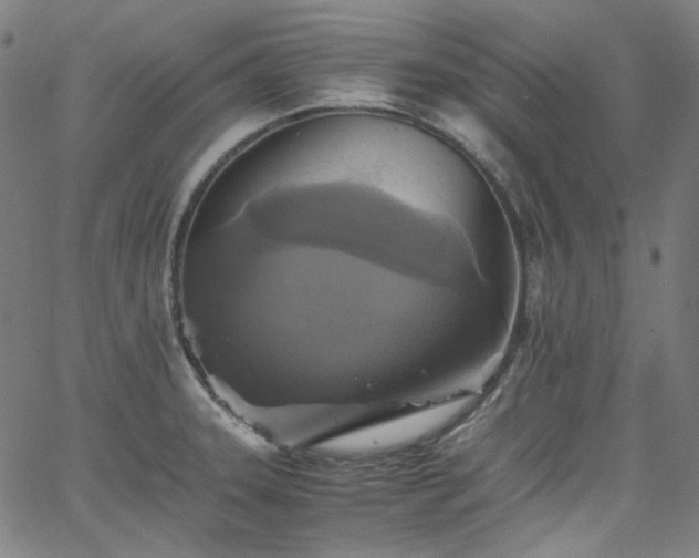 X0000065981331200603101412