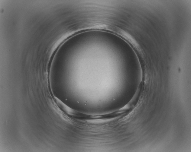 X0000065981332200603101412