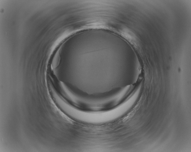 X0000065981334200603101412