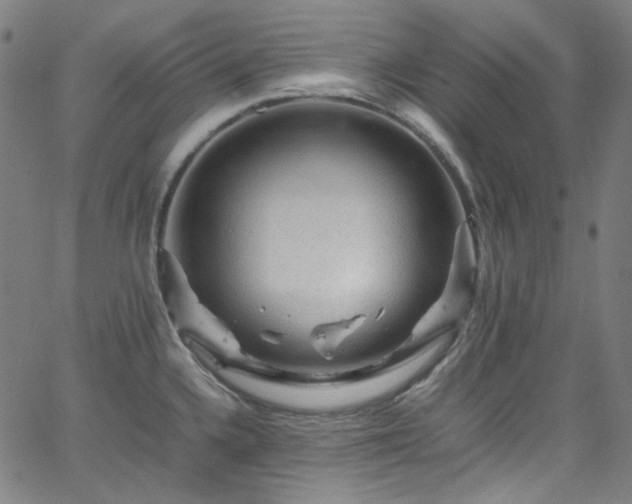 X0000065981336200603101412