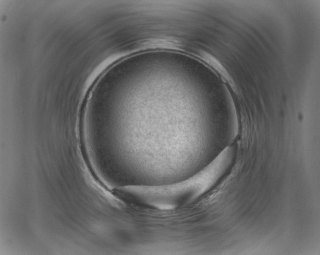 X0000065981339200603101413