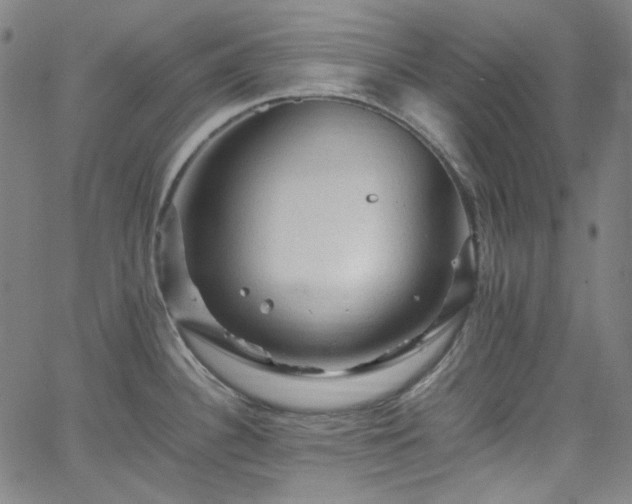 X0000065981340200603101413