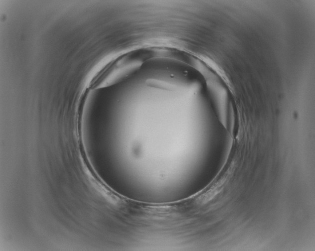 X0000065981342200603101413