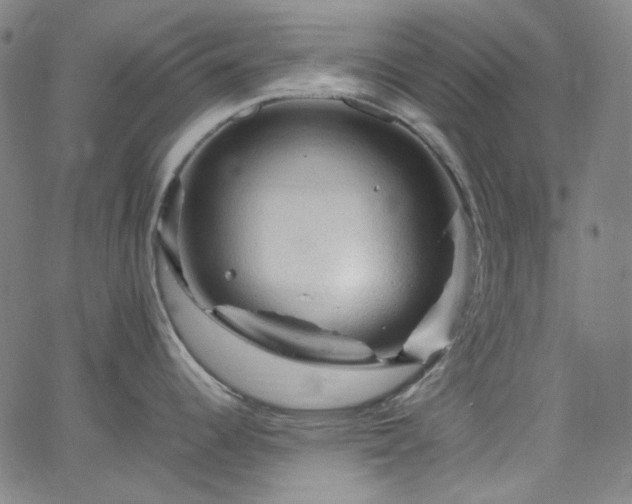 X0000065981344200603101413