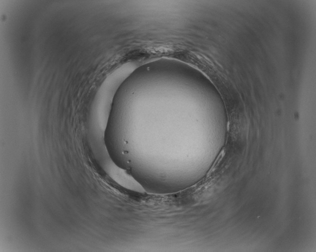 X0000065981345200603101412