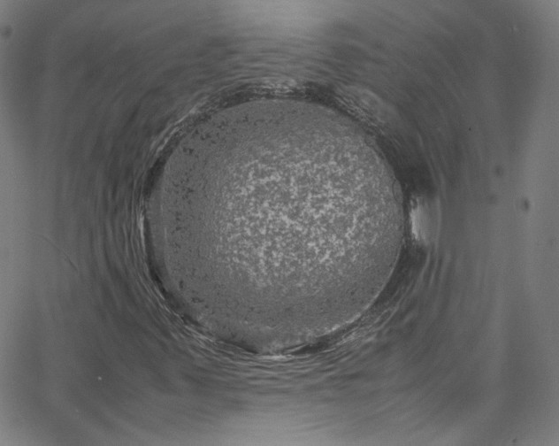 X0000065981347200603101412