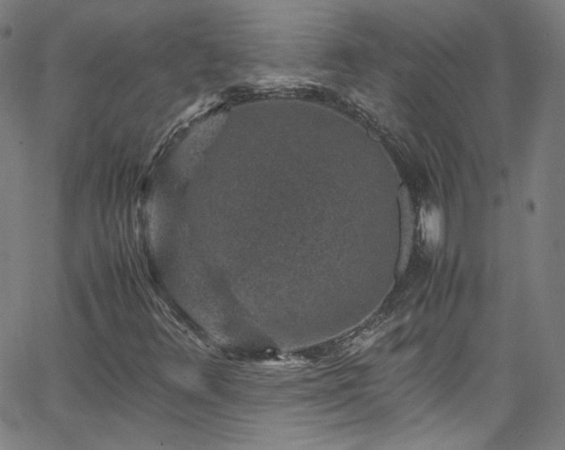 X0000065981348200603101412