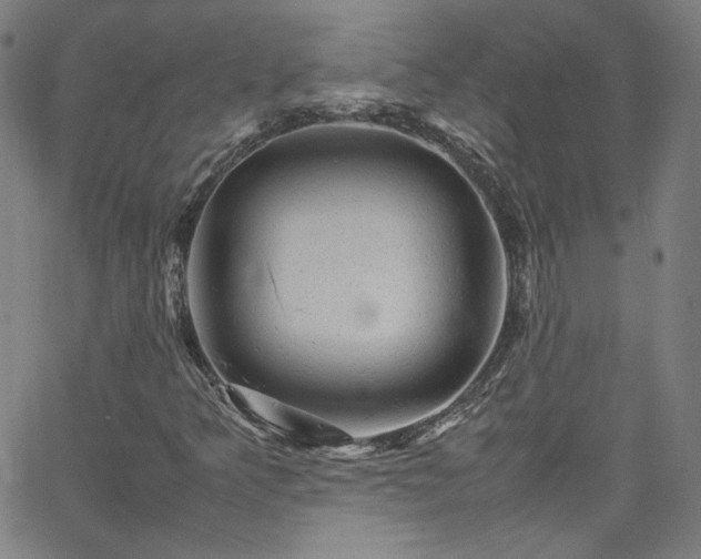 X0000065981349200603101412