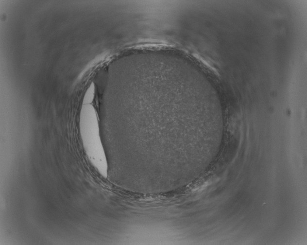 X0000065981351200603101412