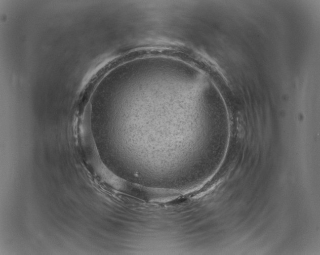 X0000065981352200603101412