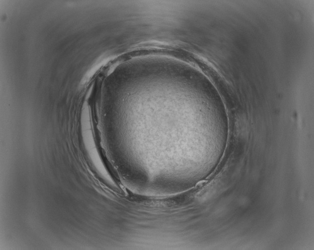 X0000065981355200603101412