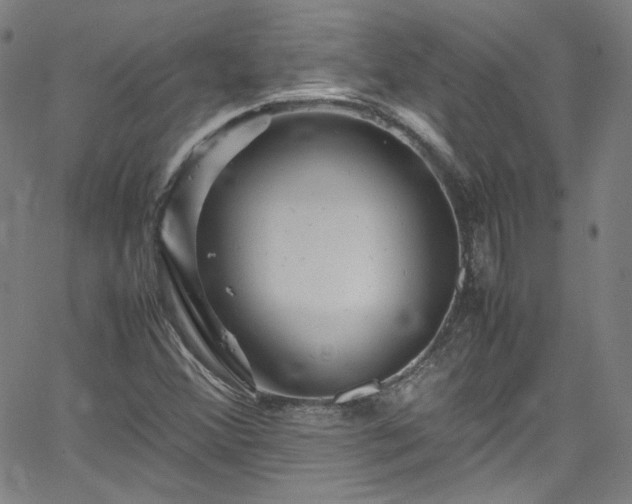 X0000065981356200603101412