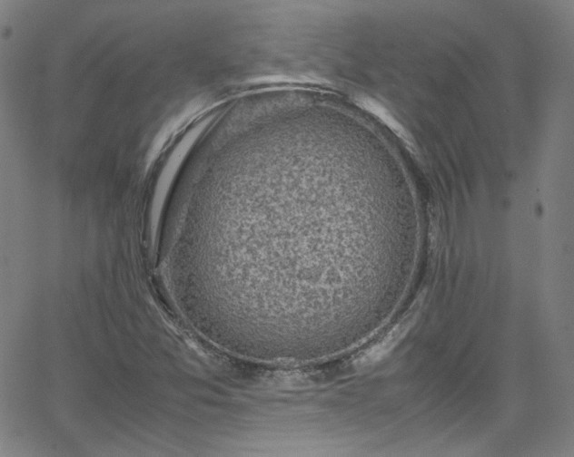 X0000065981357200603101412