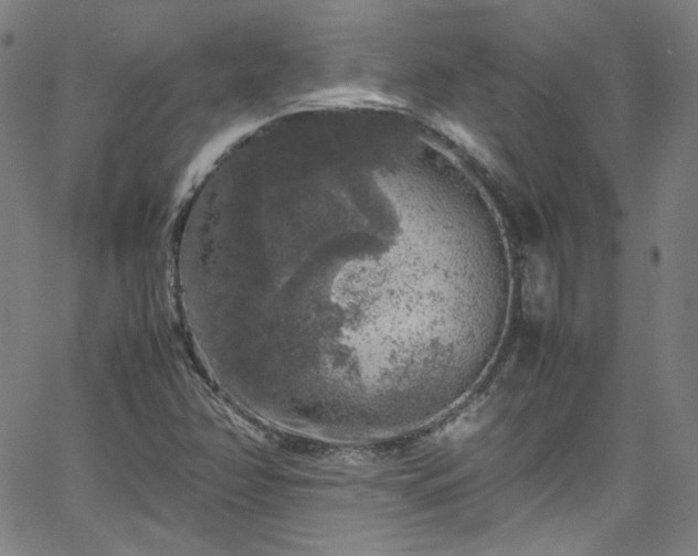 X0000065981358200603101412