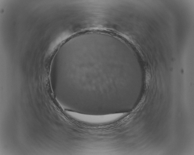 X0000065981359200603101412