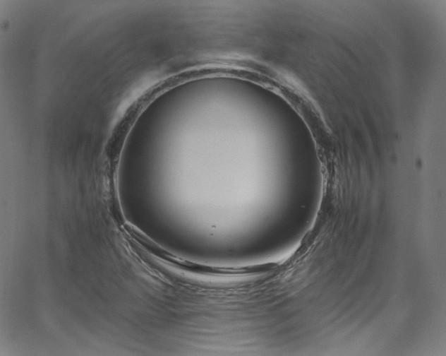 X0000065981360200603101412