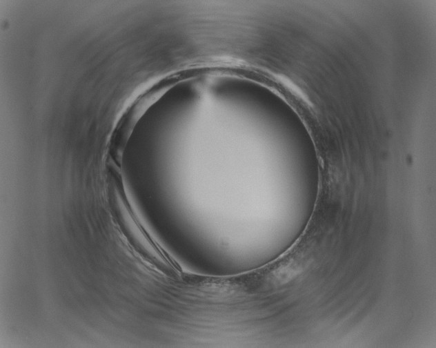 X0000065981364200603101412