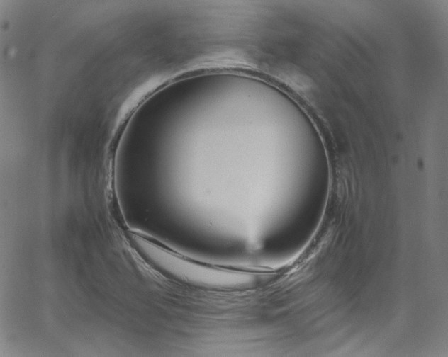 X0000065981366200603101412