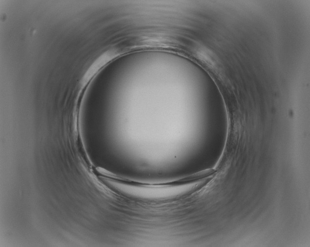 X0000065981370200603101411