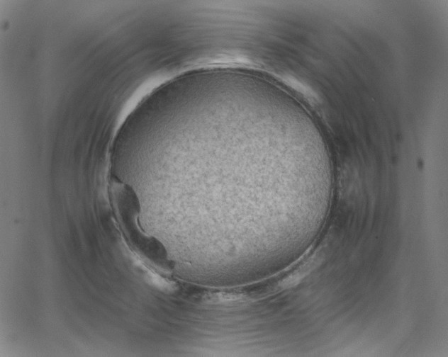 X0000065981374200603101411