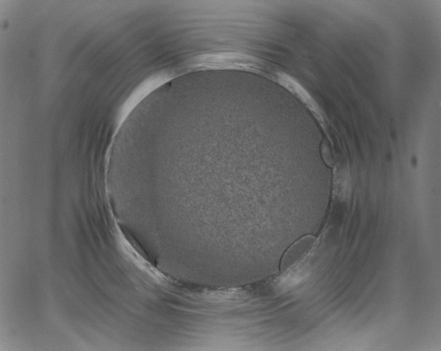 X0000065981386200603101411