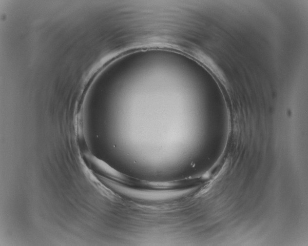 X0000065981388200603101411