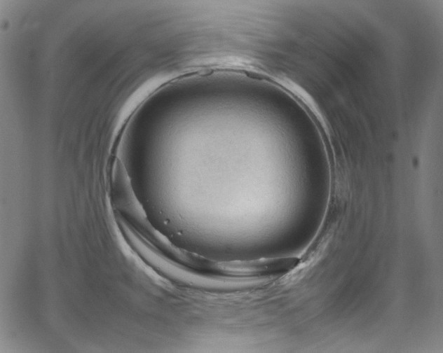 X0000065981389200603101411