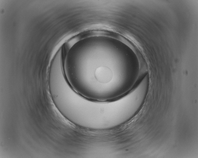 X0000065981392200603101411