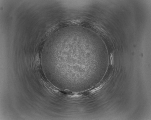 X0000065981395200603101410