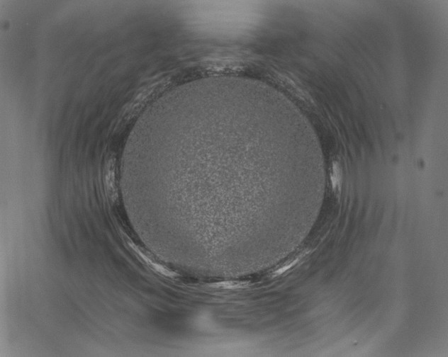 X0000065981396200603101410