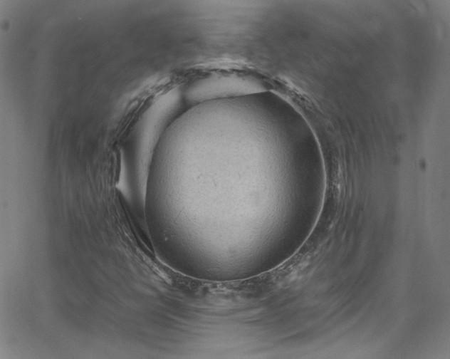 X0000065981398200603101410