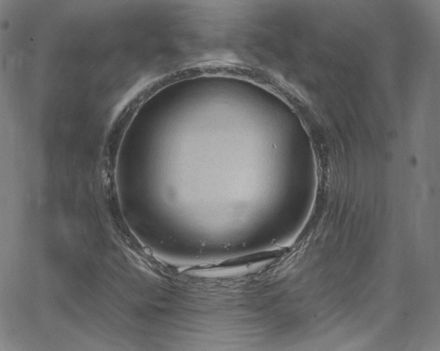 X0000065981400200603101410