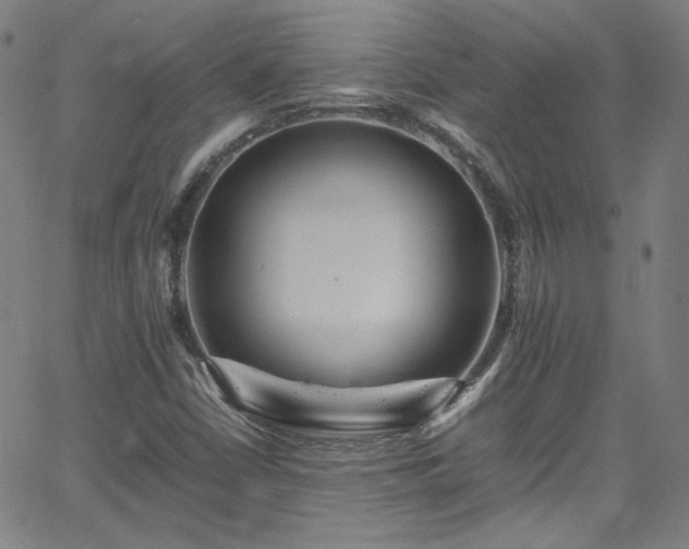 X0000065981402200603101410