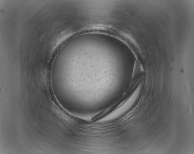 X0000065981404200603101410