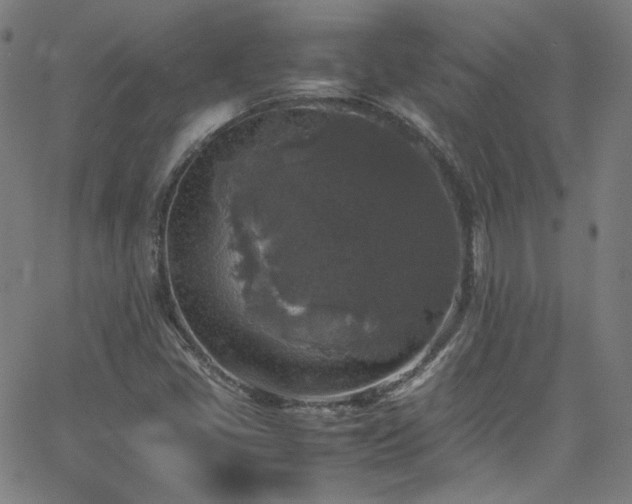 X0000065981405200603101411