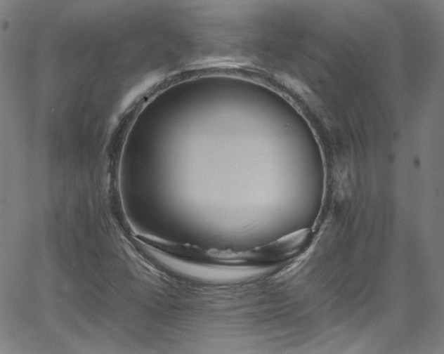 X0000065981406200603101411