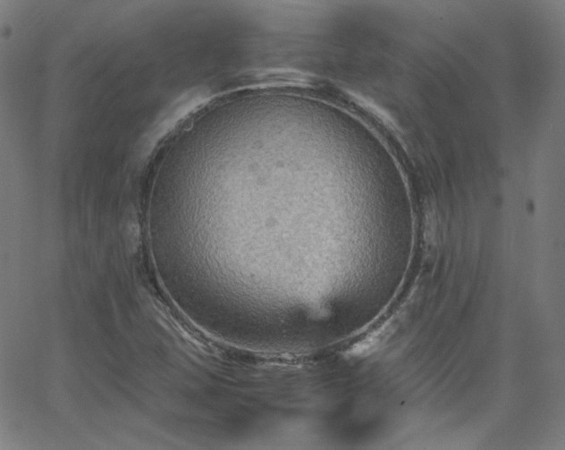 X0000065981407200603101411