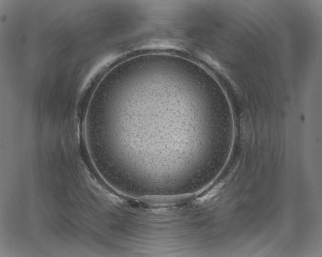 X0000065981408200603101411